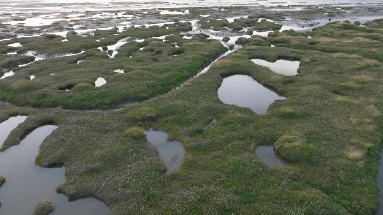 Tidal grassland low flyover with camera tilt revealing horizon during golden hour. Pilling Sands, Lancashire, UK.