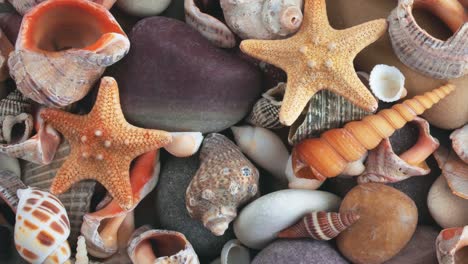 piedras giratorias, estrellas de mar, conchas. vista desde arriba.