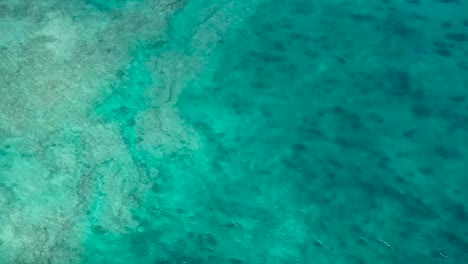 dron aéreo arrecife snorkel agua azul playa arena negra