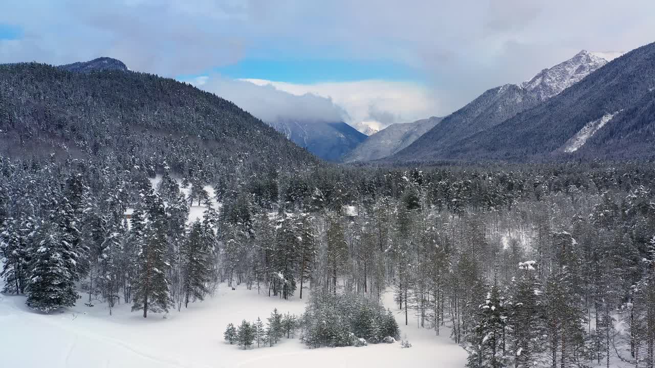 눈 인 산과 숲이 있는 멋진 겨울 풍경