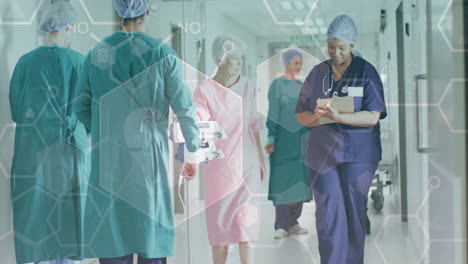 animation of medical data over diverse female doctor and patient talking in busy hospital corridor
