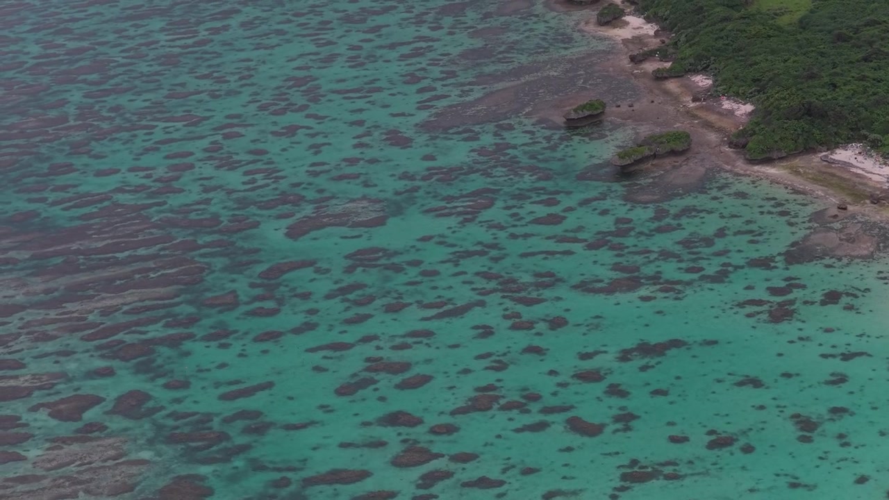 Ripresa orizzontale in primo piano che si inclina verso il basso mentre si muove in avanti verso sinistra sopra le acque turchesi della barriera corallina e la costa boscosa vicino all'isola di Kojima, Ishigaki, Okinawa, Giappone