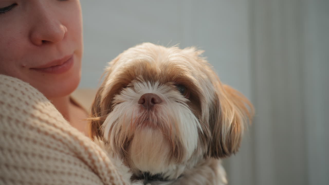 Donna bianca che tiene un cane vicino ai fornelli, morbido maglione di lana, sguardo reciproco e leggero sorriso, primo piano del viso espressivo, luce che cattura la pelliccia, interazione affettuosa, sfondo di cucina domestica e intimo.