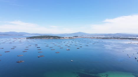 Aerial-panoramic-of-mussels-farming-structures-aligned-on-the-coast-near-the-city-of-Vigo-in-Galicia,-Spain