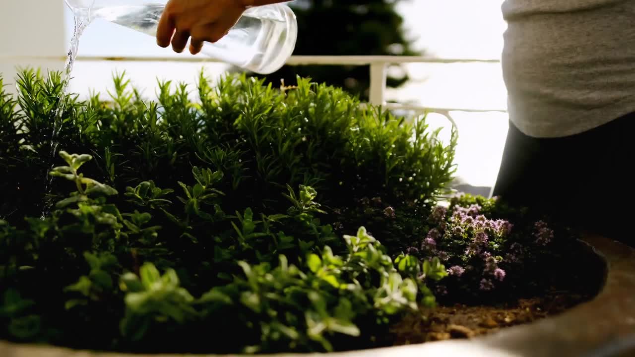 mujer sonriente regando las plantas en el balcón en casa 4k