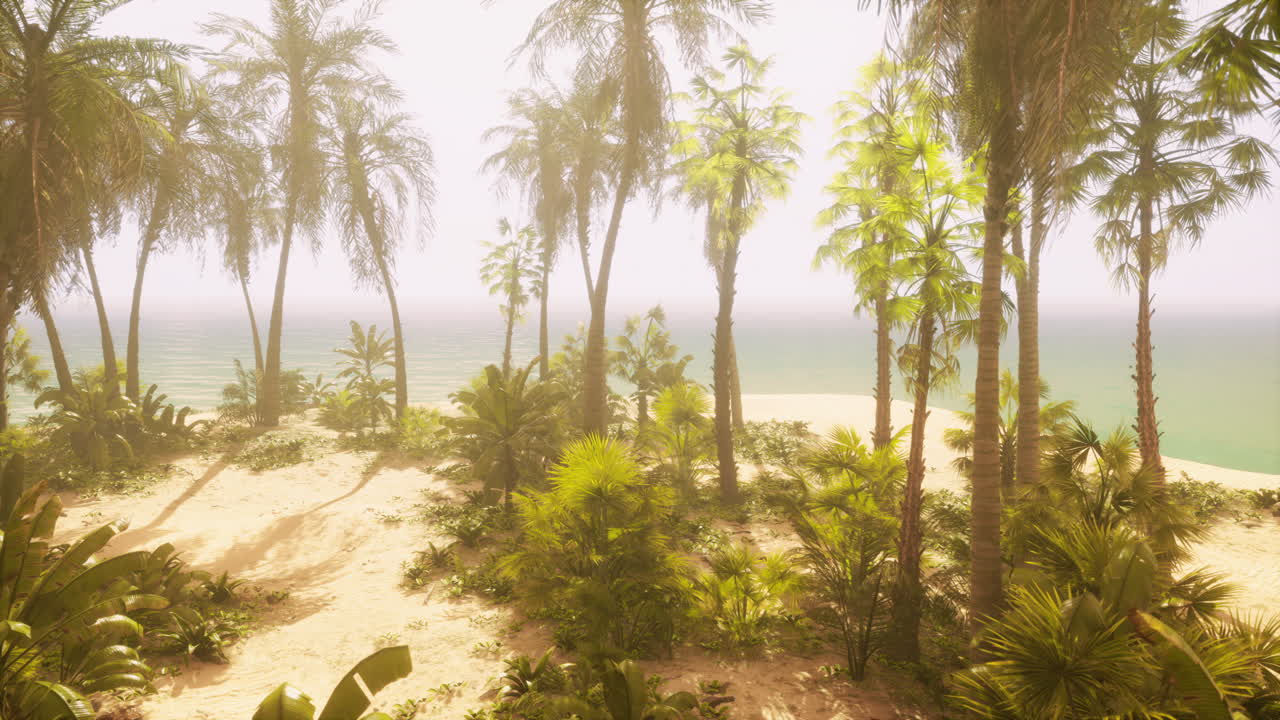 playa tropical con palmeras