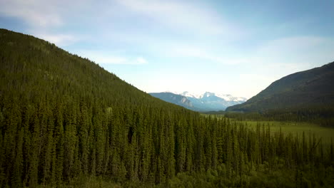cinematic aerial view of a beautiful forest and mountain range