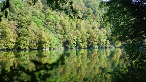 Ruhige-Reflexion:-Grüne-Waldlandschaft-Mit-See-Und-Bäumen