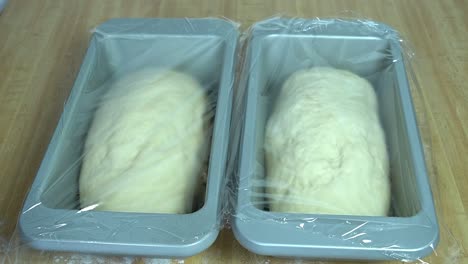 time-lapse of bread rising in baking pans