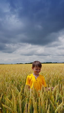 cheerful boy in yellow field. happy child hiding in wheat field against cloudy sky in summer. kid playing outdoors in agricultural land. vertical video