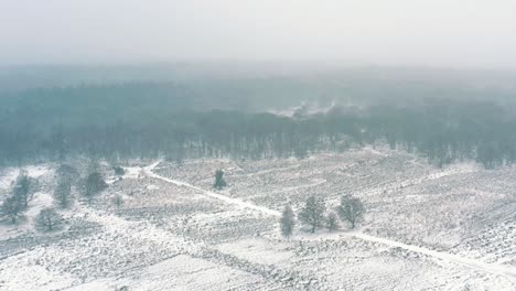 Antena-Sobre-El-Paisaje-Invernal-Cubierto-De-Nieve-En-El-Parque-Nacional-Veluwe