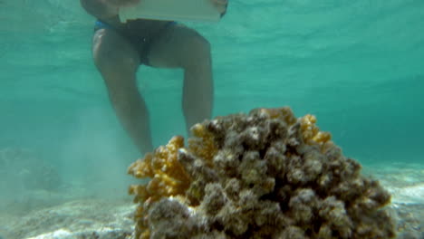 underwater shooting with tablet computer