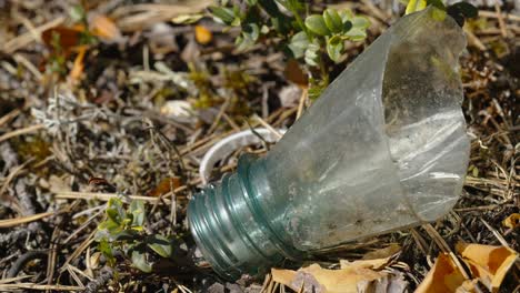 una mirada más cercana de una botella de vidrio rota en estonia
