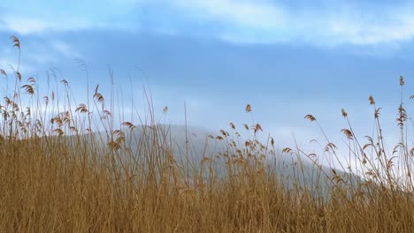 Landschaft