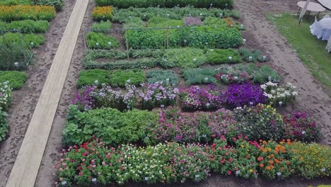 vibrant flower display at a garden nursery