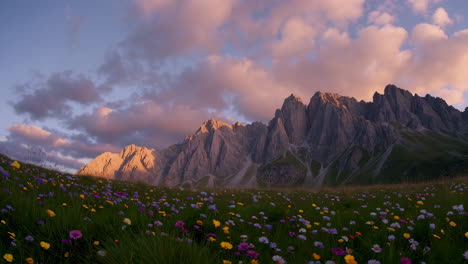 alpine meadow at sunset