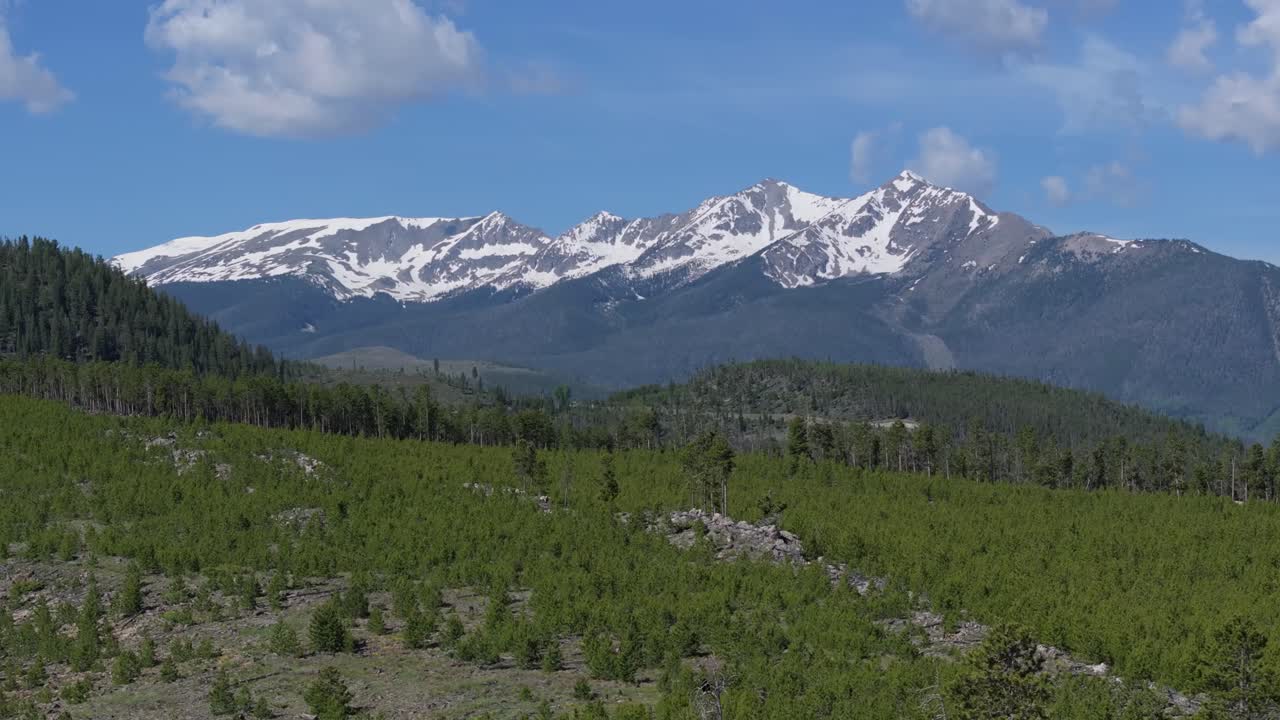 заснеженный горный хребет и пышный зеленый лес