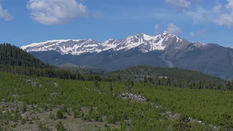 snowy mountain range and lush green forest