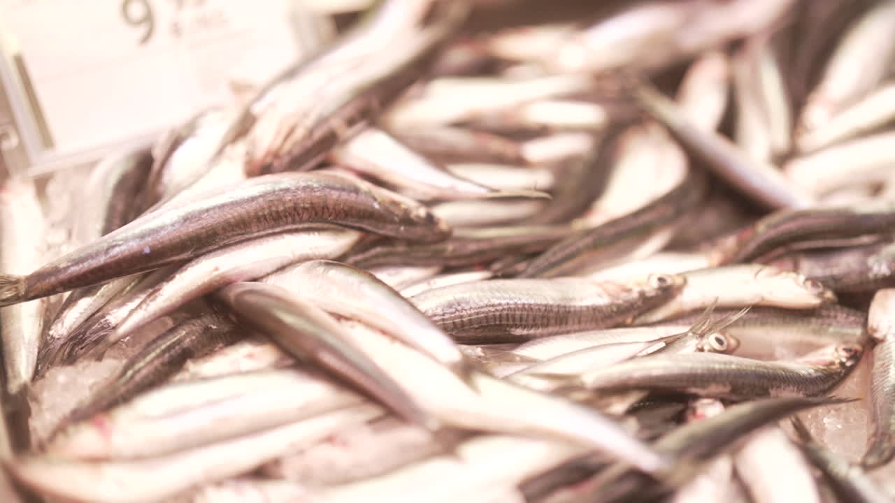 생선 시장에서 신선한 안초비