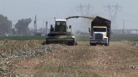 field chopper after corn harvest in california usa