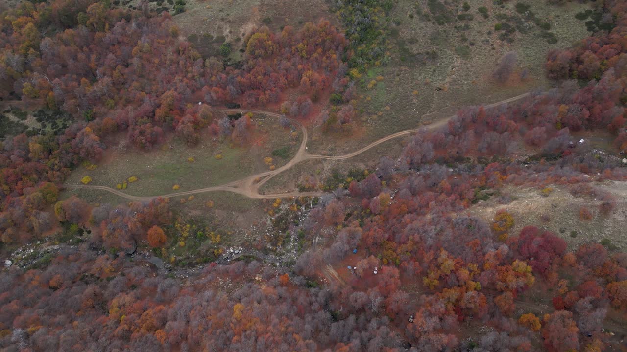 Aerial approach shot moving toward a dirt road and small river surrounded by hillsides and vibrant autumn oak forest with bright fall colors.