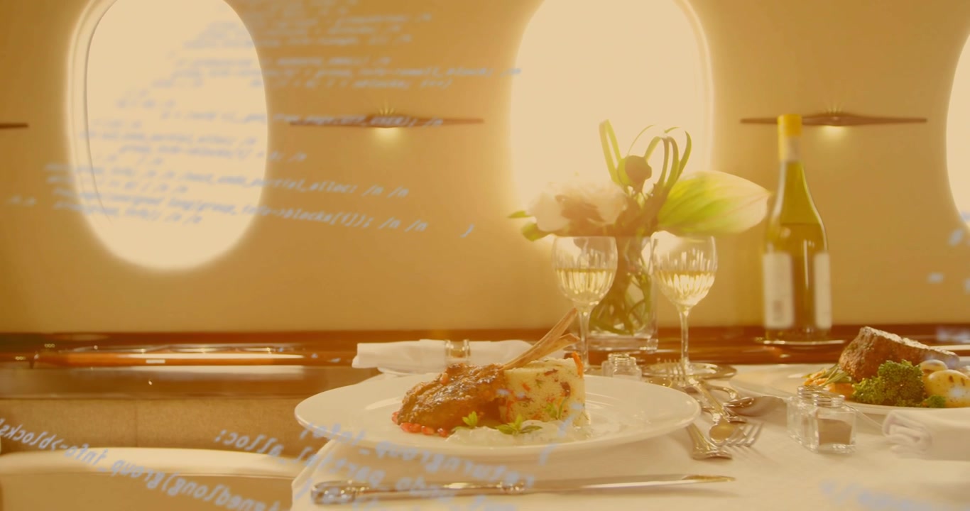 Code overlay appearing on jet window drifting over lamb plate then fading visualizing digital flow