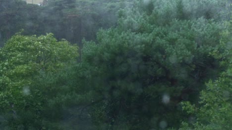 Un-Disparo-En-Cámara-Lenta-A-Través-De-Una-Ventana-Cubierta-Con-Gotas-De-Lluvia-En-Bournemouth,-Inglaterra