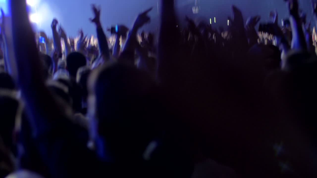 Fan entusiasti che si godono una performance musicale e ballano.