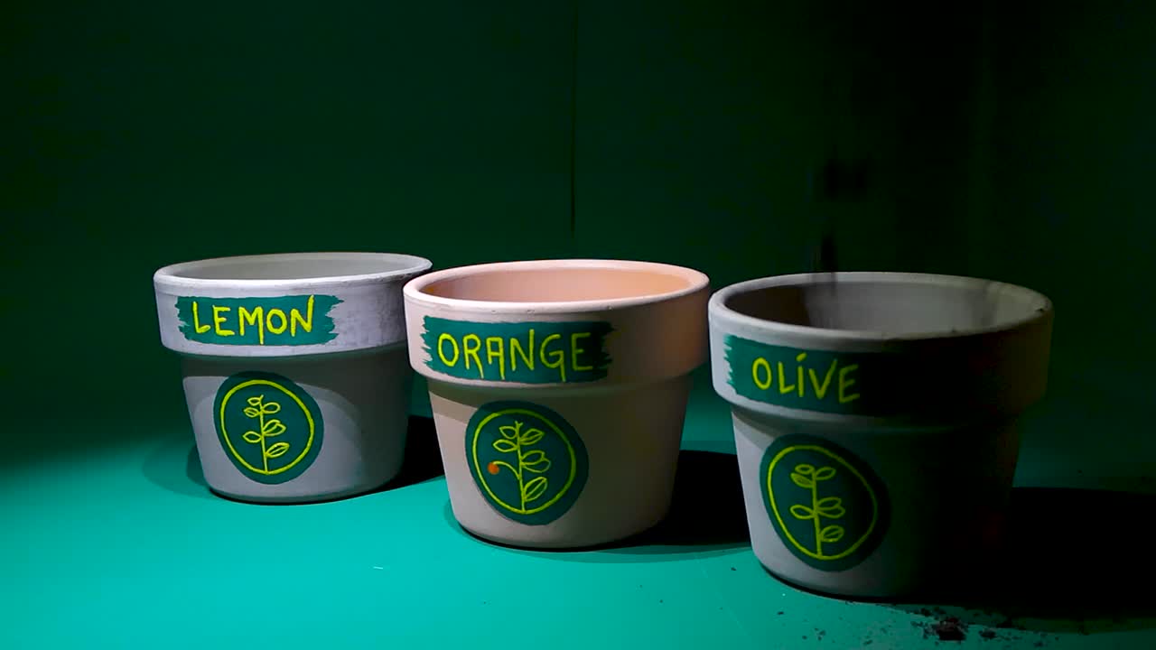 세 개의 점토 비가 느린 속도로 과 으로 여 있으며, 그 위에 레몬, 오렌지 및 올리브가 적혀 있습니다.