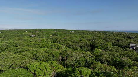 Drone shot pushing over a green forest in Martha&#039;s Vineyard, Massachusetts