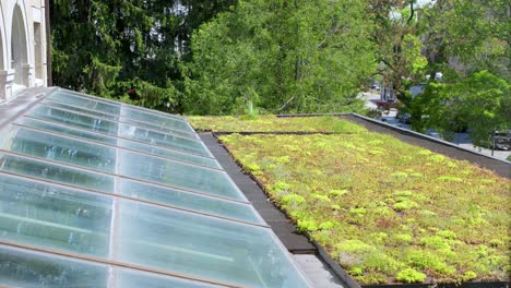 the eco-friendly roof of the bangor public library