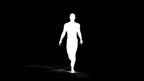 human body muscle map walk cycle rendered loopable with alpha matte