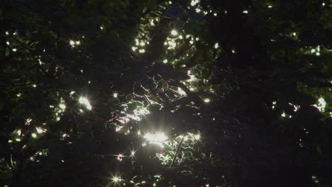 luz del sol brillante a través de las hojas