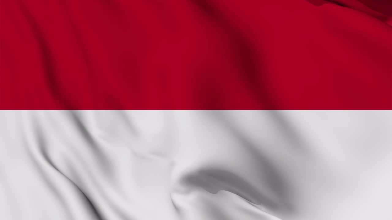 인도네시아의 발이 무없이 흔들리는 애니메이션