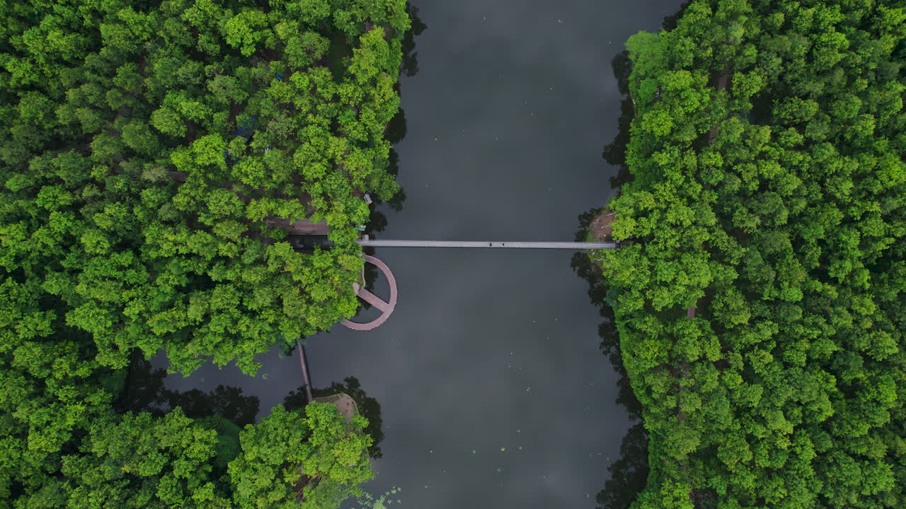 el avión no tripulado se mueve hacia adentro para mirar más de cerca el lago rodeado por el bosque en nepal