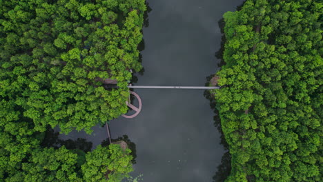 drone moves inwardly to look closer at the lake surrounded by the forest in nepal