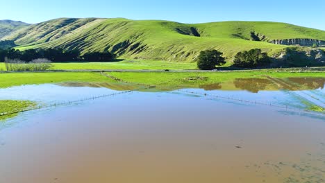 aerial view of akaroa's vibrant green hills and reflective water under bright sunlight, showcasing natural beauty and tranquility