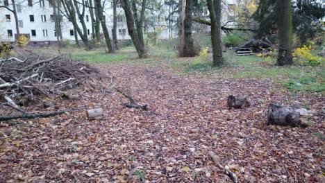 Schneller-Schwenk-Nach-Rechts-In-Einem-Park-In-Berlin,-Deutschland,-Natur,-Abgestorbene-Blätter,-Bäume,-Farben-Des-Herbstes