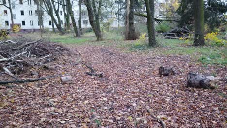 pan rápido a la derecha en un parque en berlín alemania naturaleza hojas muertas árboles colores de otoño