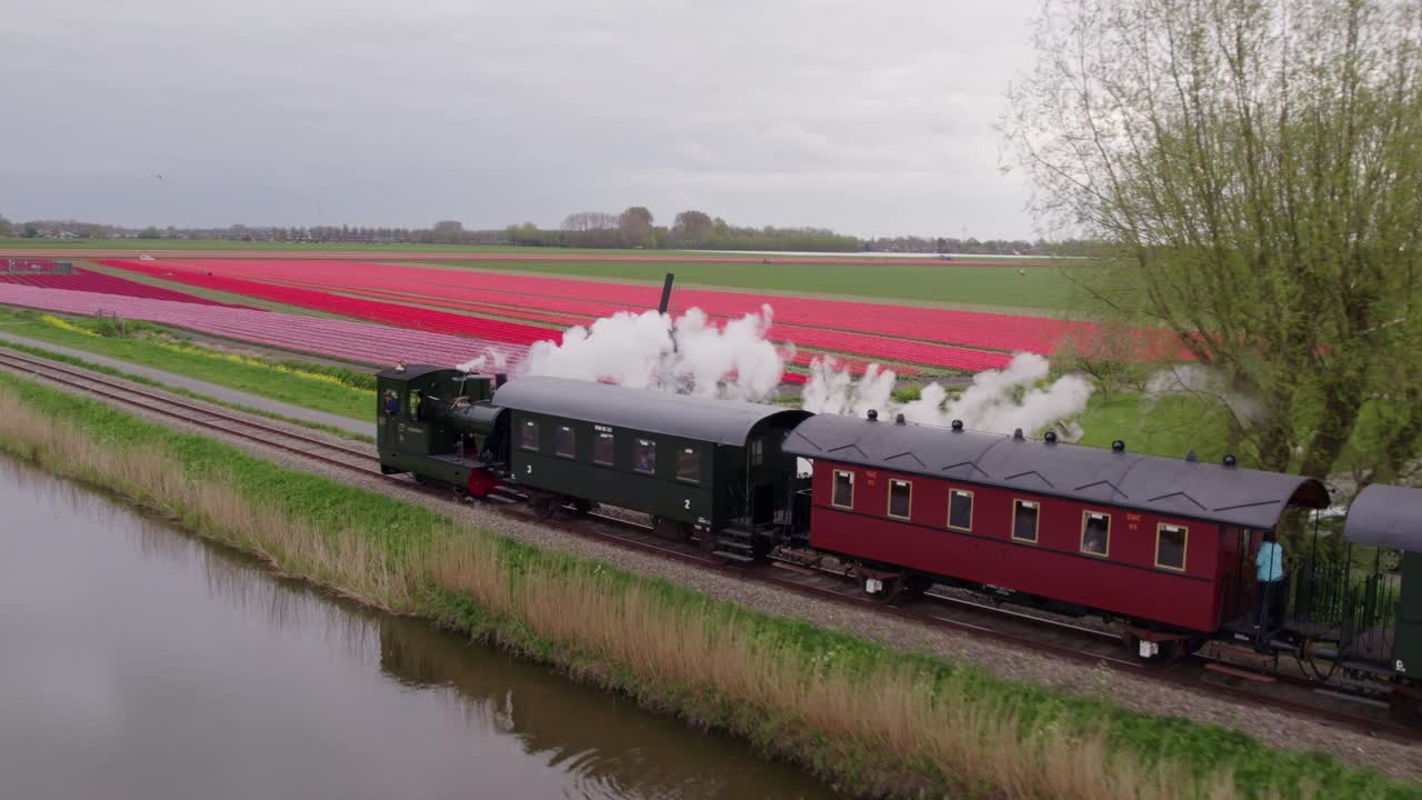 Luftfoto af damptog, der passerer tulipanmarker, Hoorn, Holland