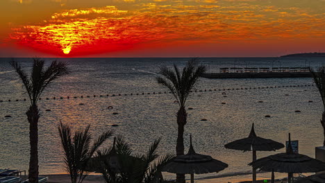 Silhouette-of-palm-trees-and-umbrellas-on-sandy-beach-during-vibrant-sunrise,-fusion-time-lapse