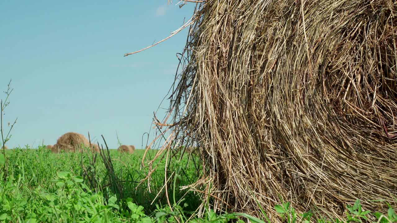 concepto de agricultura. balas de heno en un prado. campo rural en verano con balas de heno. vista de bajo ángulo