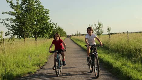 cute happy children, brothers, riding bikes in the park on a sunny summer day, talking and laughing