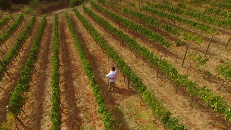 Drone-footage-of-couple-hugging