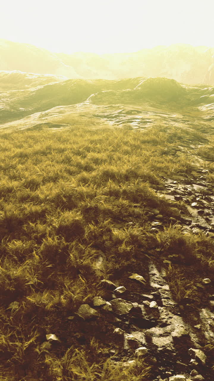 Golden sunlight blankets the rugged landscape with grass and stones at dawn