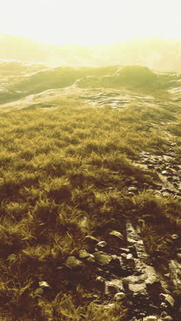 golden sunlight blankets the rugged landscape with grass and stones at dawn