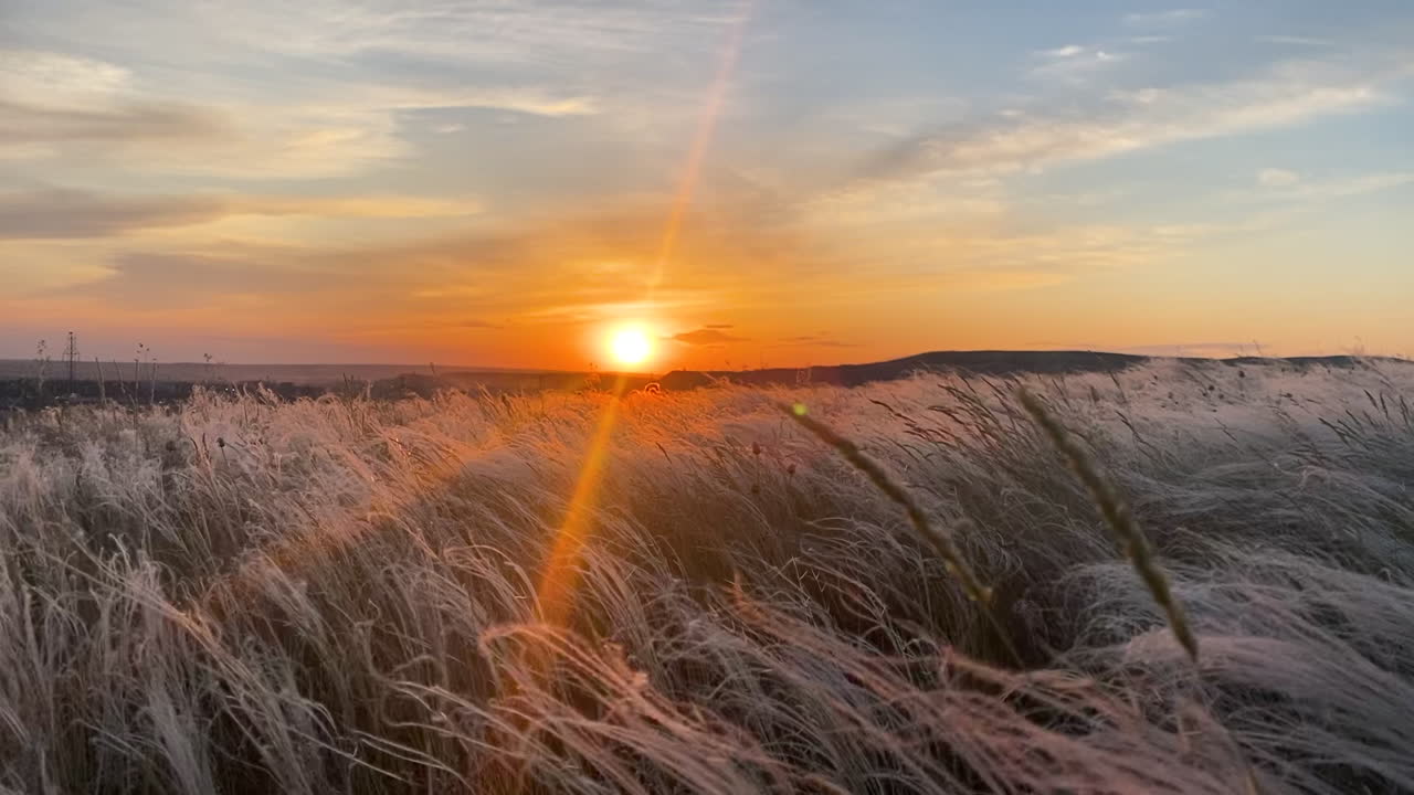 Pôr-do-sol sobre um campo de grama