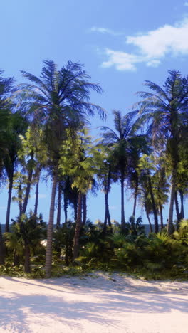 tropical beach with palm trees