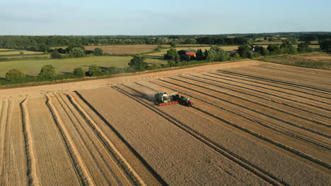 establecimiento de una toma de drones de una cosechadora claas que descarga grano en un tractor con remolque a la hora dorada mientras se cosecha en el reino unido