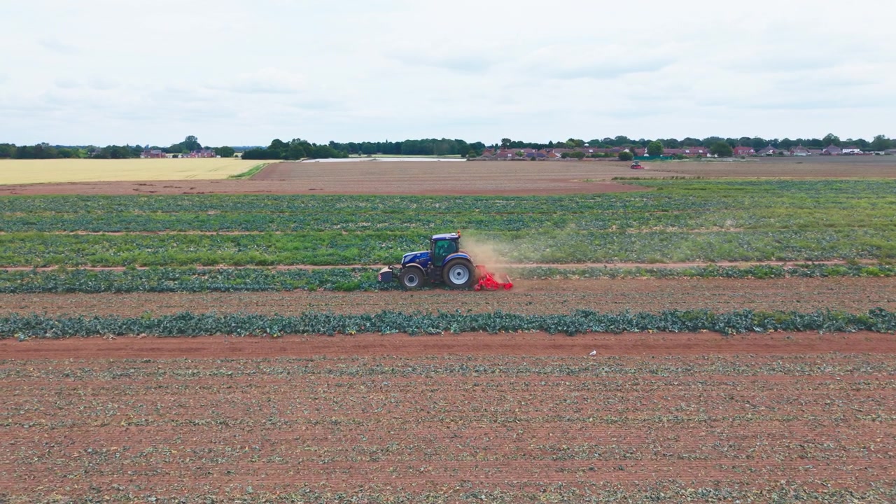 Vista aerea di un trattore che ara un campo al tramonto. Il mezzo è al lavoro su un terreno agricolo, lasciando scie di polvere e disegni nel suolo arato, per la preparazione del terreno e la coltivazione delle colture in una fattoria nel Regno Unito.
